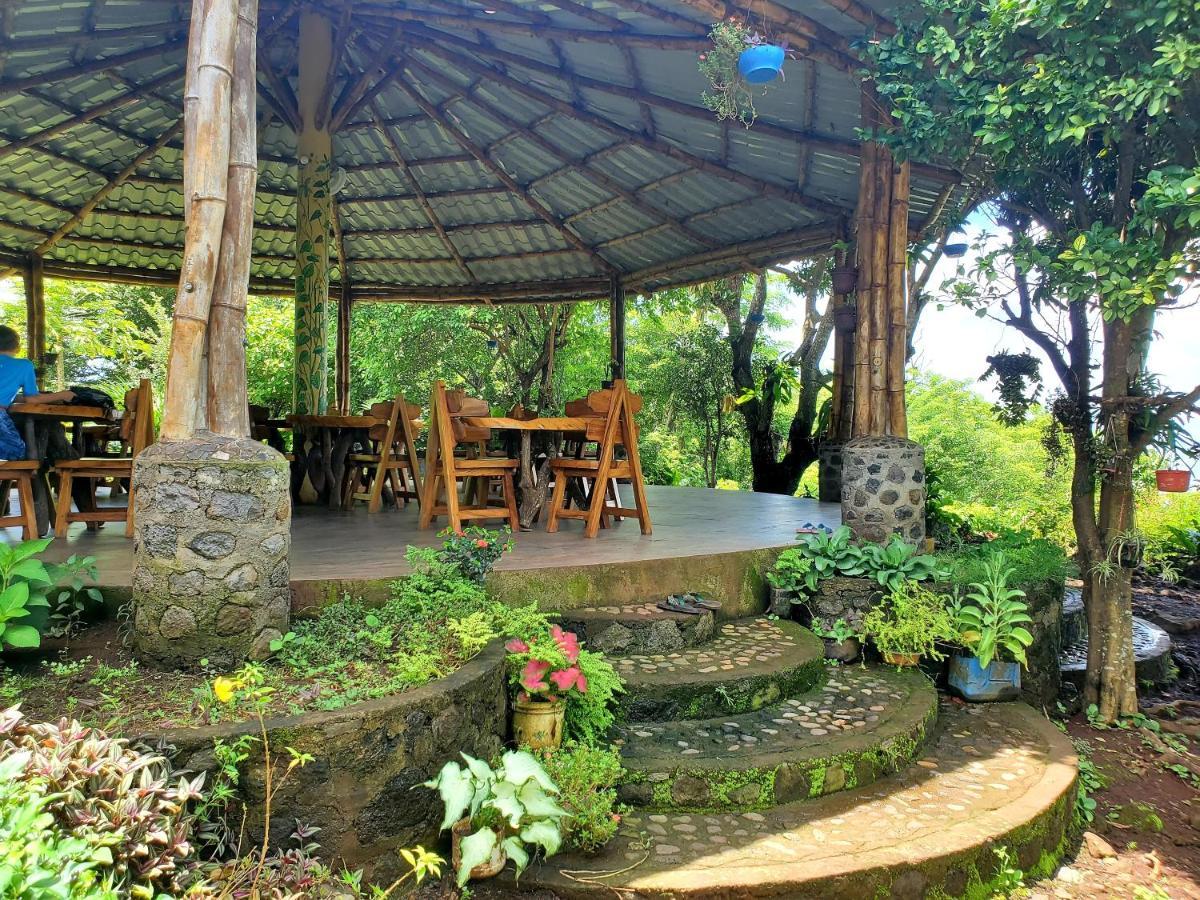 Villa The Jungle Mérida Esterno foto