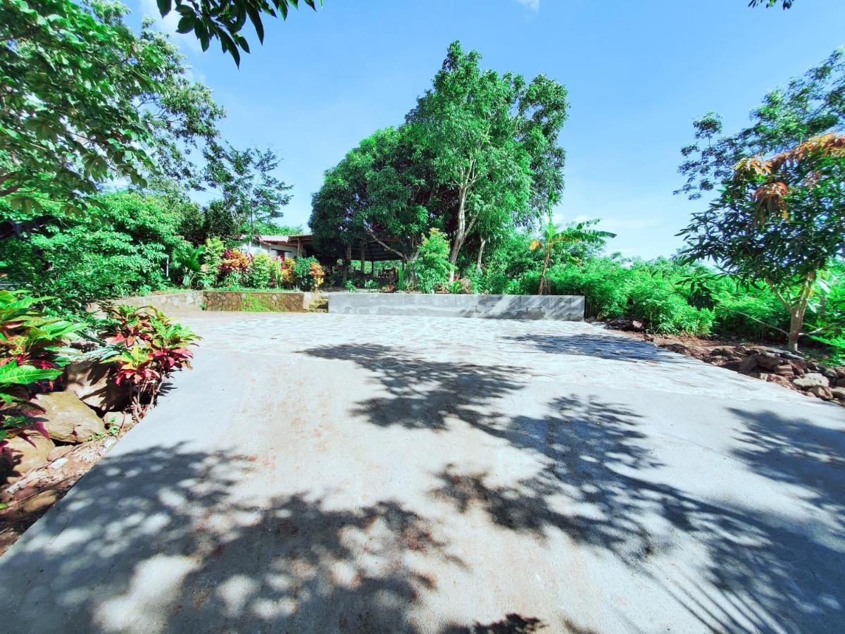 Villa The Jungle Mérida Esterno foto
