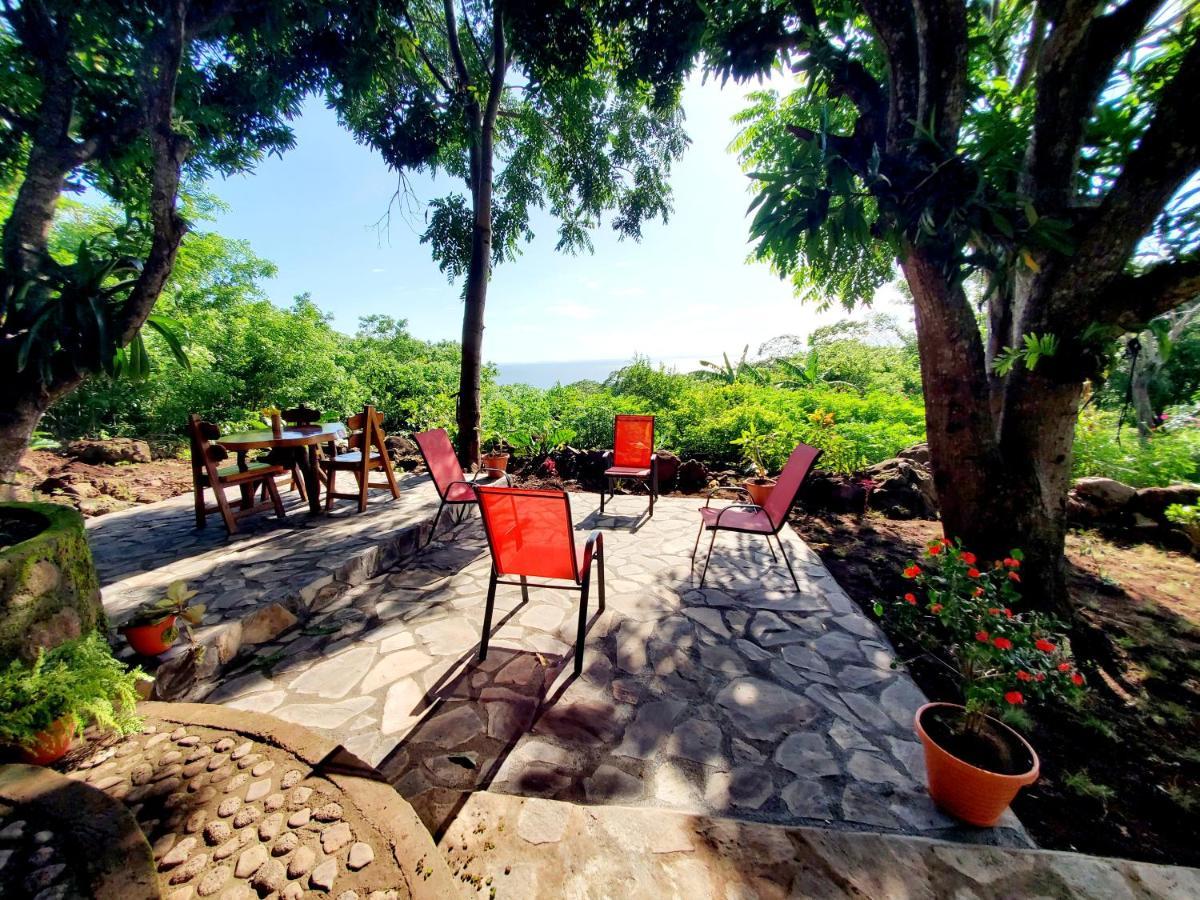 Villa The Jungle Mérida Esterno foto