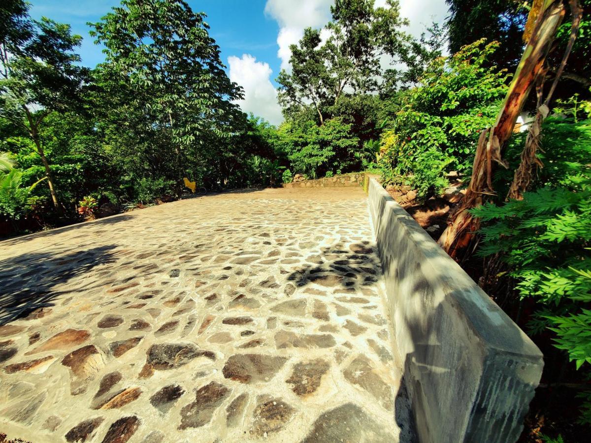 Villa The Jungle Mérida Esterno foto