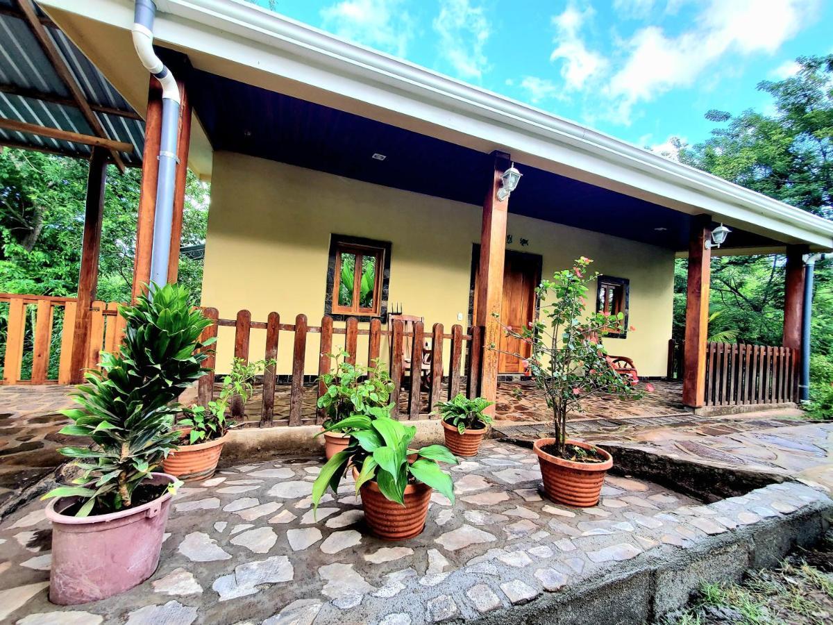 Villa The Jungle Mérida Esterno foto