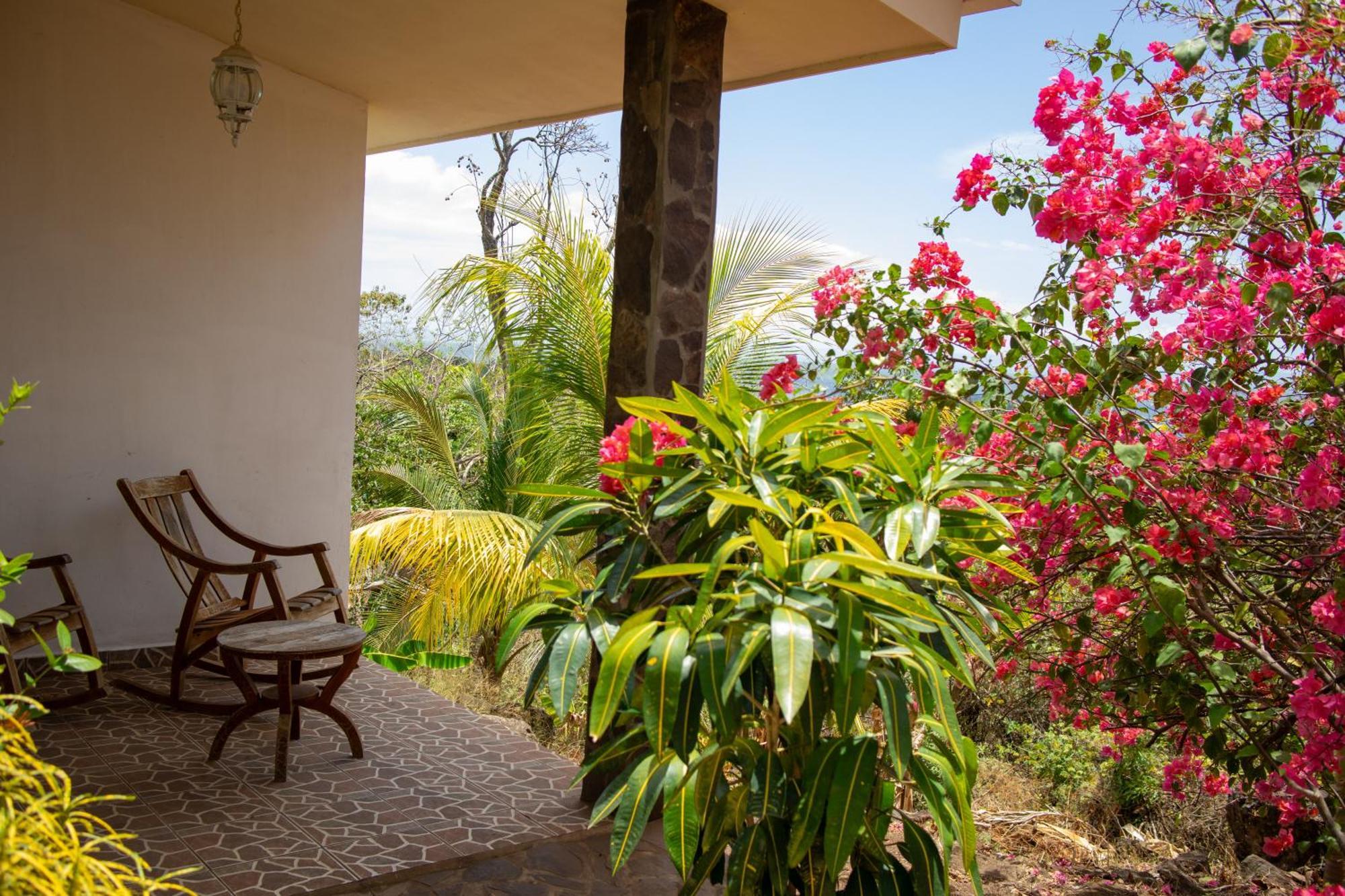 Villa The Jungle Mérida Esterno foto